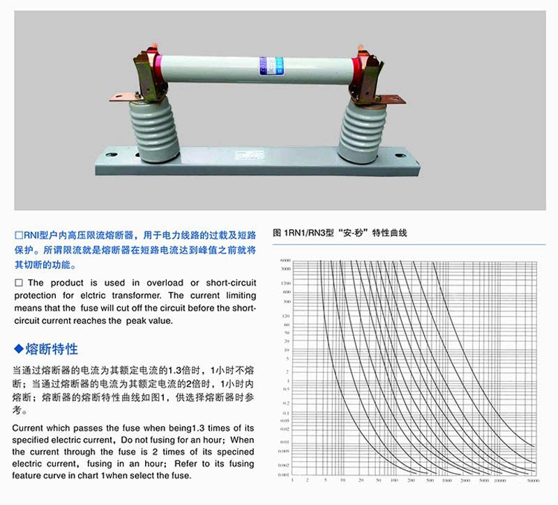  Power Capacitor Fuse 1